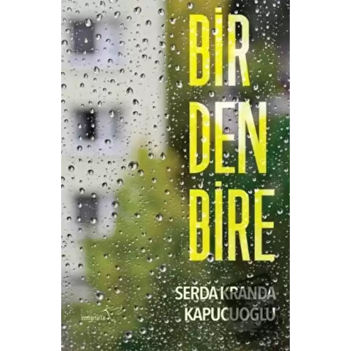 Birdenbire