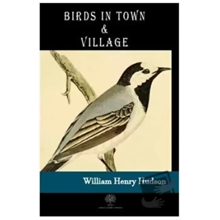 Birds in Town and Village