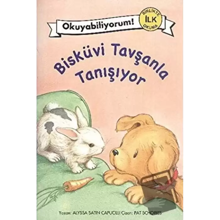 Bisküvi Tavşanla Tanışıyor