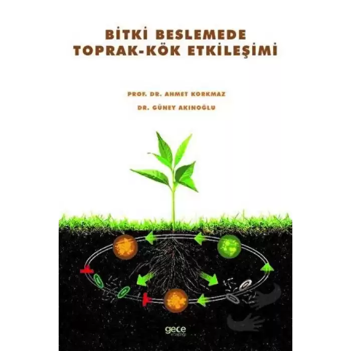 Bitki Beslemede Toprak-Kök Etkileşimi