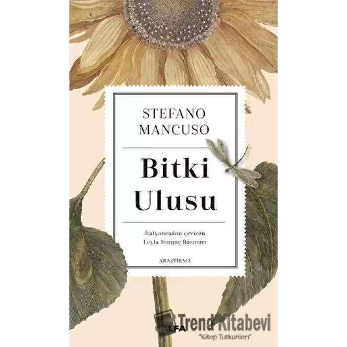 Bitki Ulusu