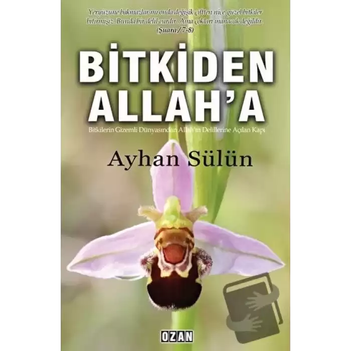 Bitkiden Allaha