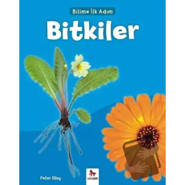 Bitkiler - Bilime İlk Adım