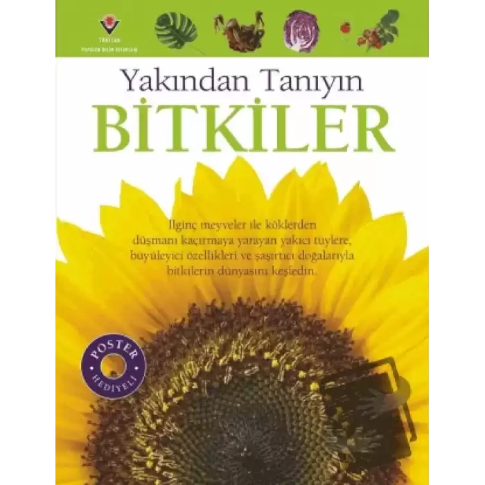 Bitkiler - Yakından Tanıyın