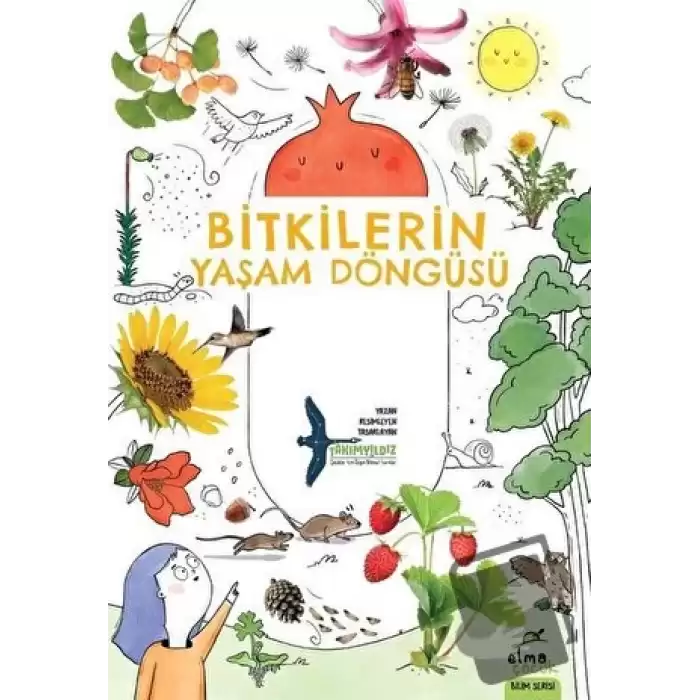 Bitkilerin Yaşam Döngüsü