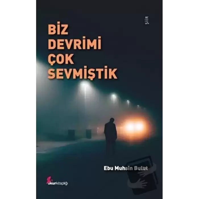 Biz Devrimi Çok Sevmiştik