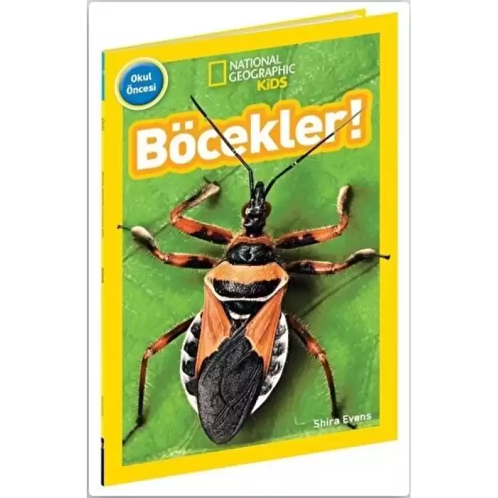 Böcekler! National Geographic Kids