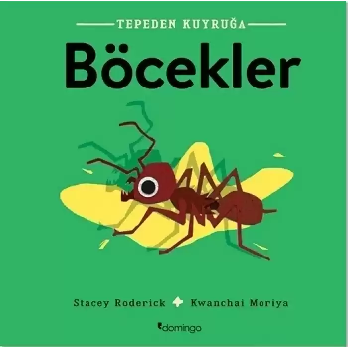 Böcekler - Tepeden Kuyruğa