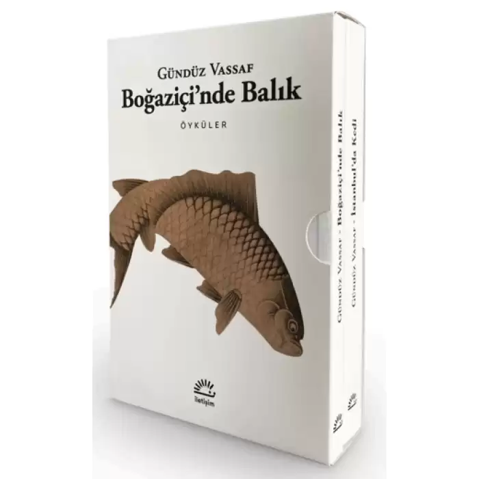 Boğaziçinde Balık - İstanbulda Kedi (2 Kitap Kutulu Set)