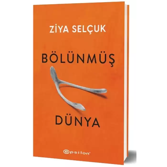 Bölünmüş Dünya