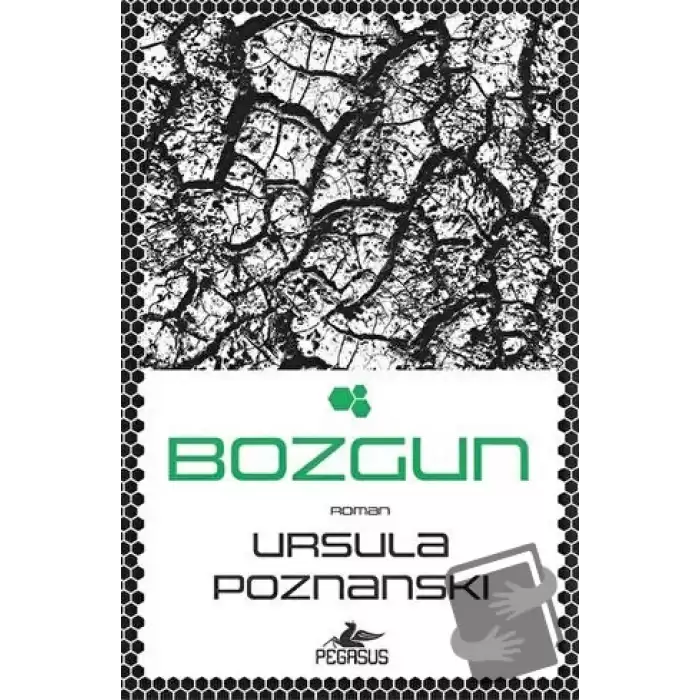 Bozgun