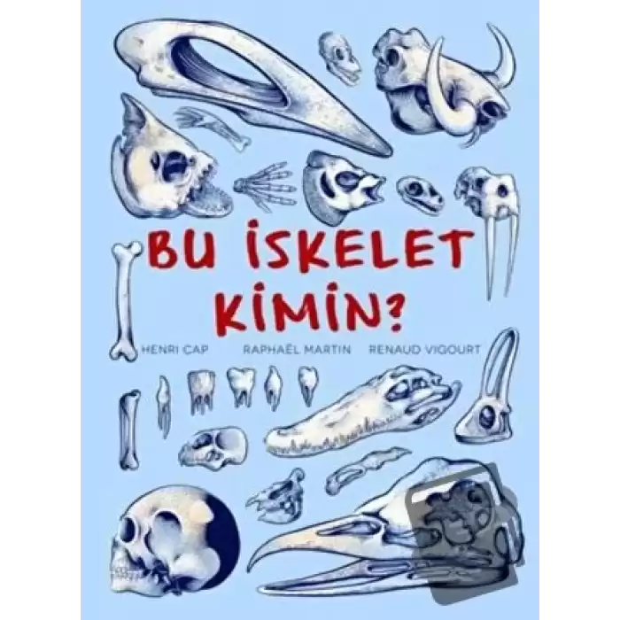 Bu İskelet Kimin?