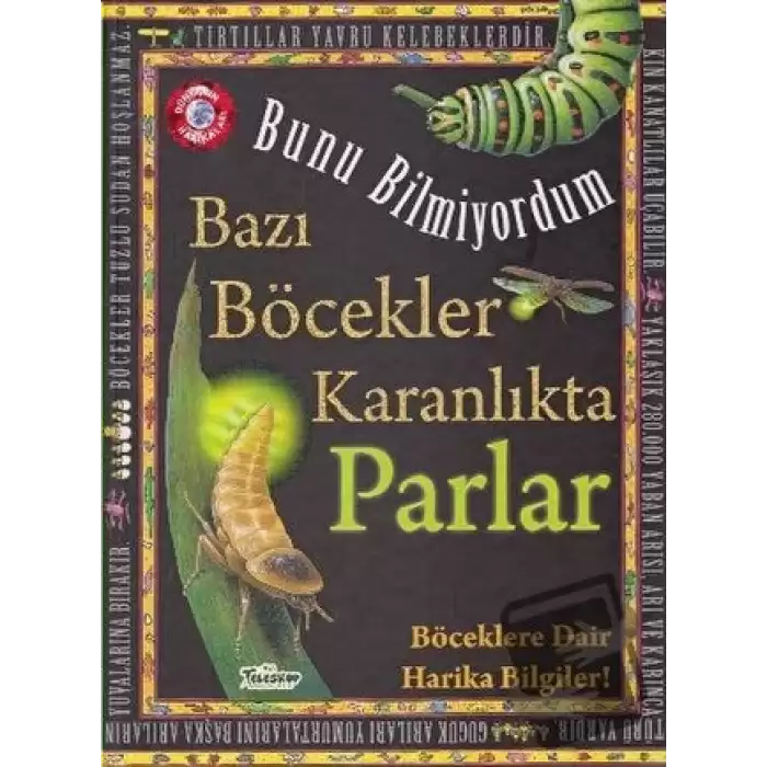 Bunu Bilmiyordum - Bazı Böcekler Karanlıkta Parlar