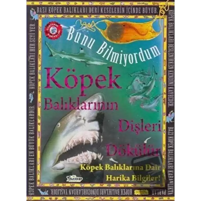 Bunu Bilmiyordum - Köpek Balıklarının Dişleri Dökülür