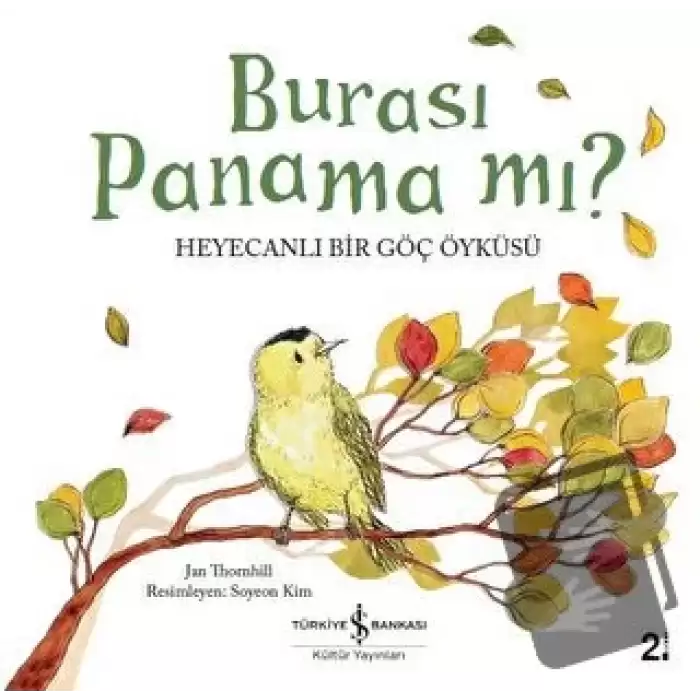 Burası Panama mı?