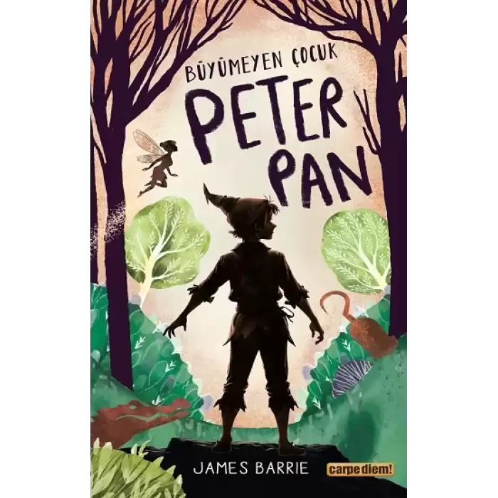 Büyümeyen Çocuk Peter Pan