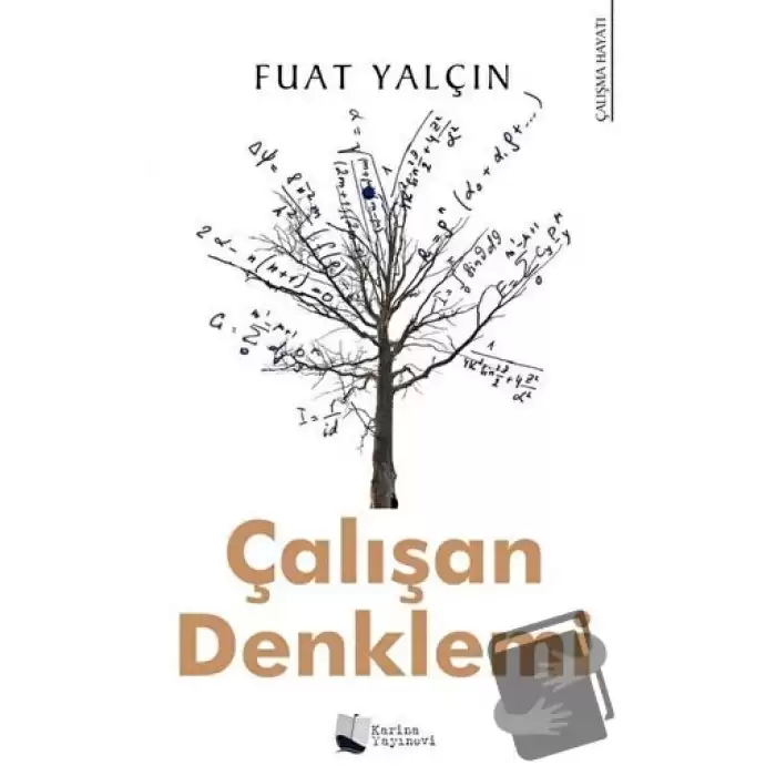 Çalışan Denklemi