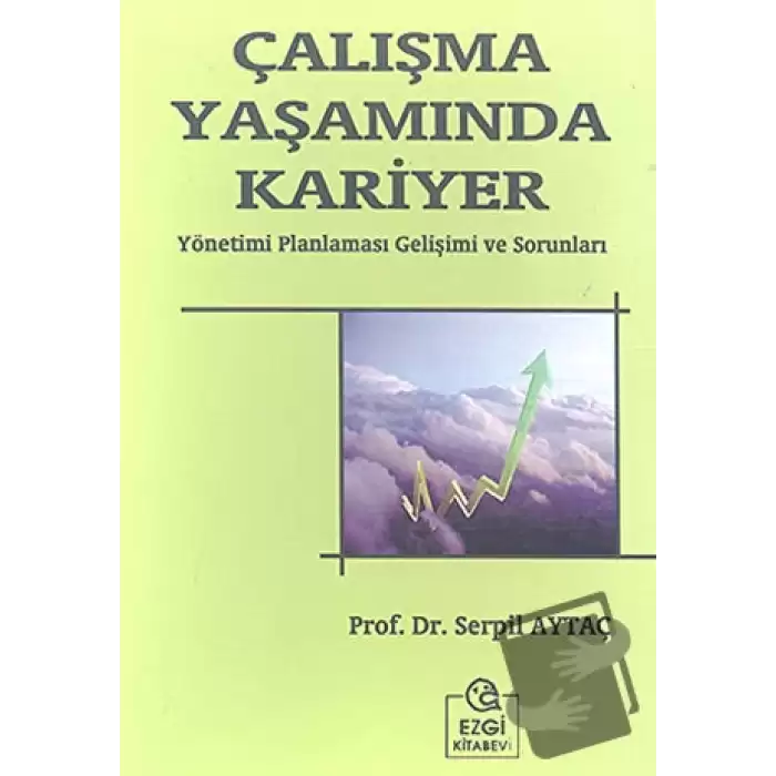 Çalışma Yaşamında Kariyer