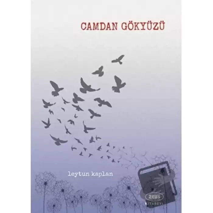 Camdan Gökyüzü