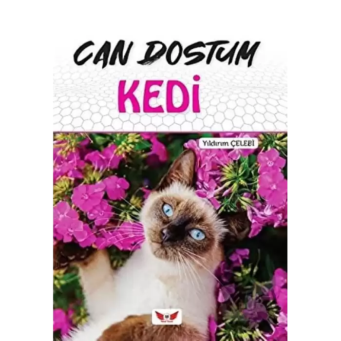 Can Dostum Kedi