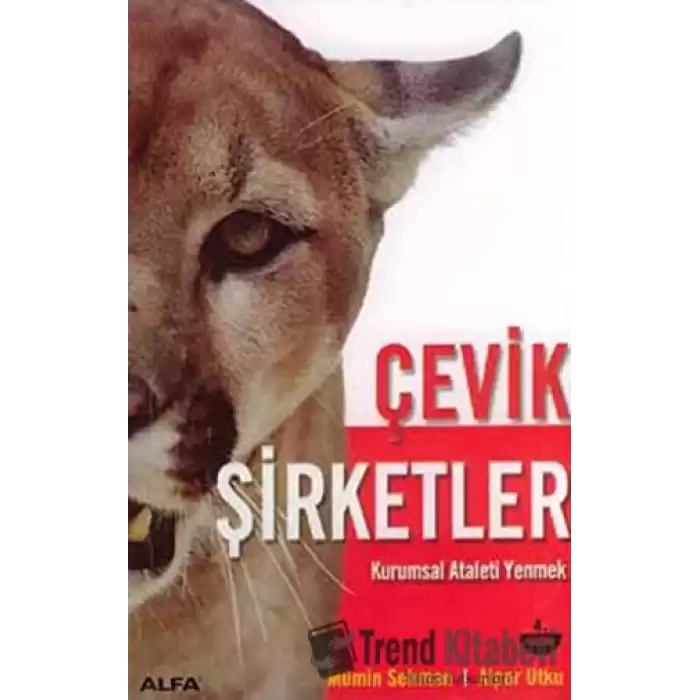 Çevik Şirketler