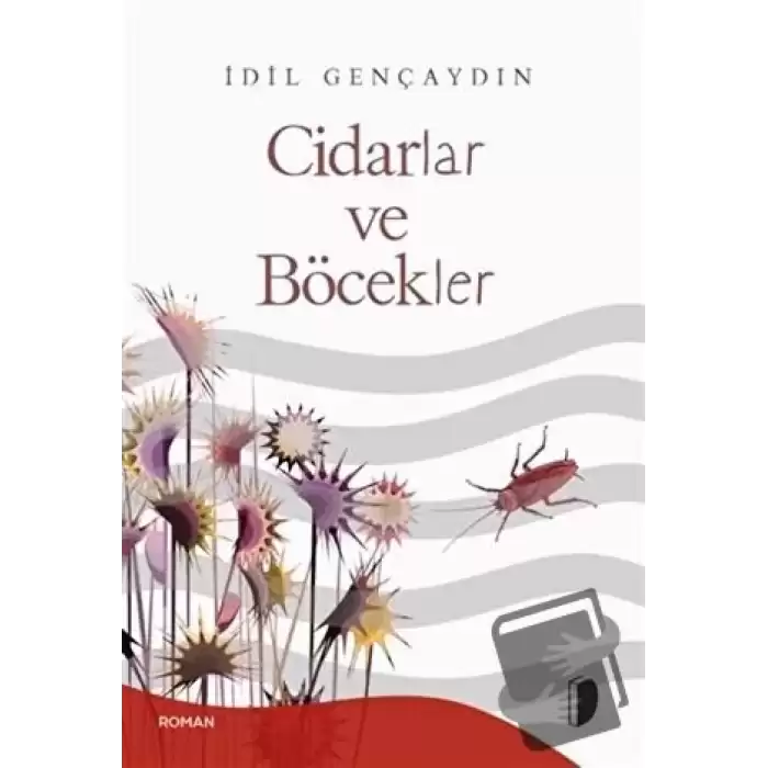 Cidarlar ve Böcekler