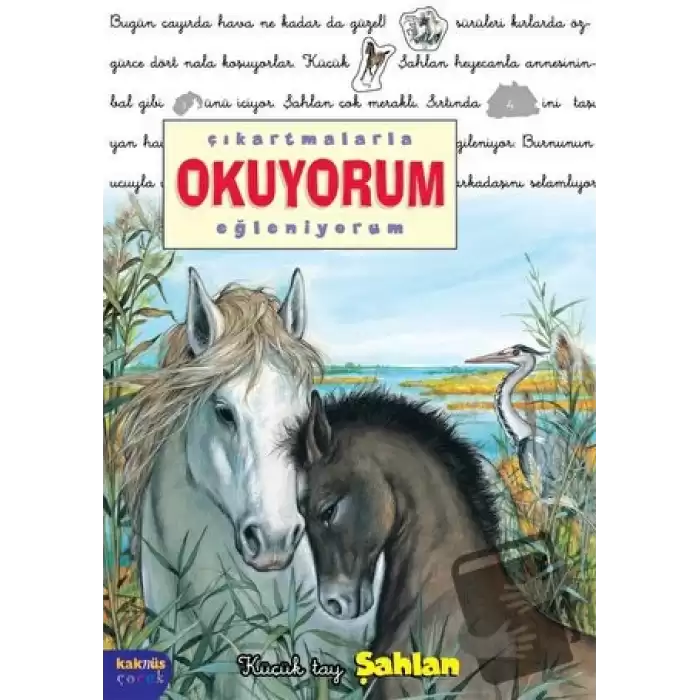 Çıkartmalarla Okuyorum Eğleniyorum -Küçük Tay Şahlan