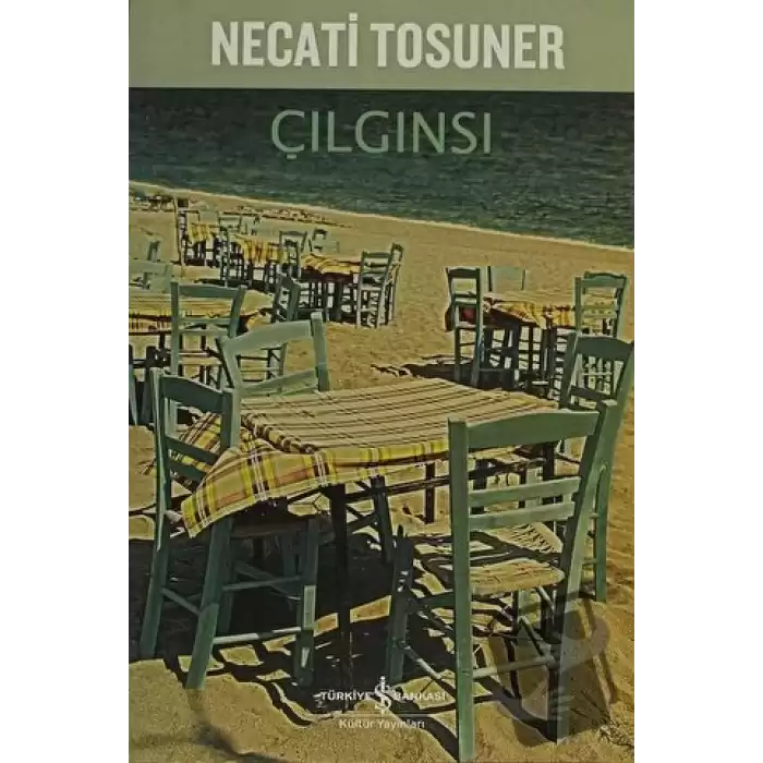 Çılgınsı