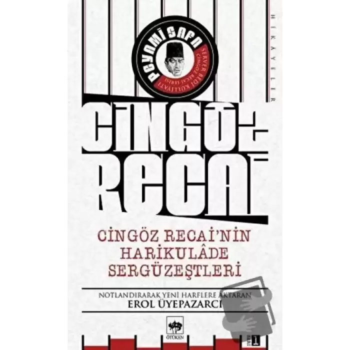 Cingöz Recainin Harikulade Sergüzeştleri