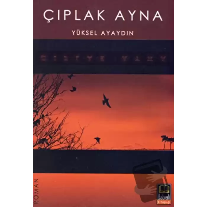 Çıplak Ayna