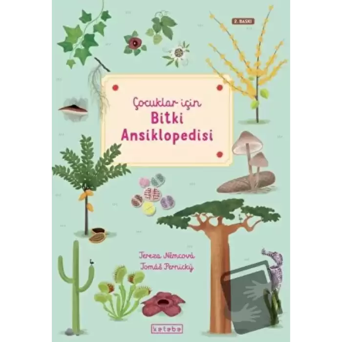 Çocuklar İçin Bitki Ansiklopedisi (Ciltli)