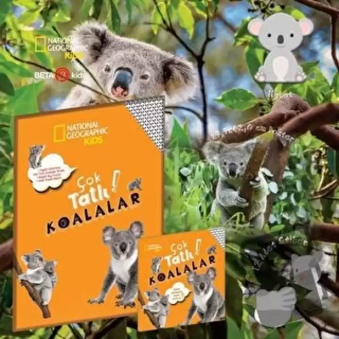 Çok Tatlı Koalalar - National Geographic Kids