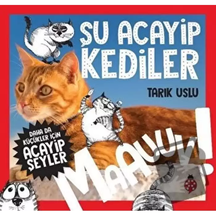 Daha da Küçükler İçin Şu Acayip Kediler - Daha da Küçükler İçin Acayip Şeyler 1