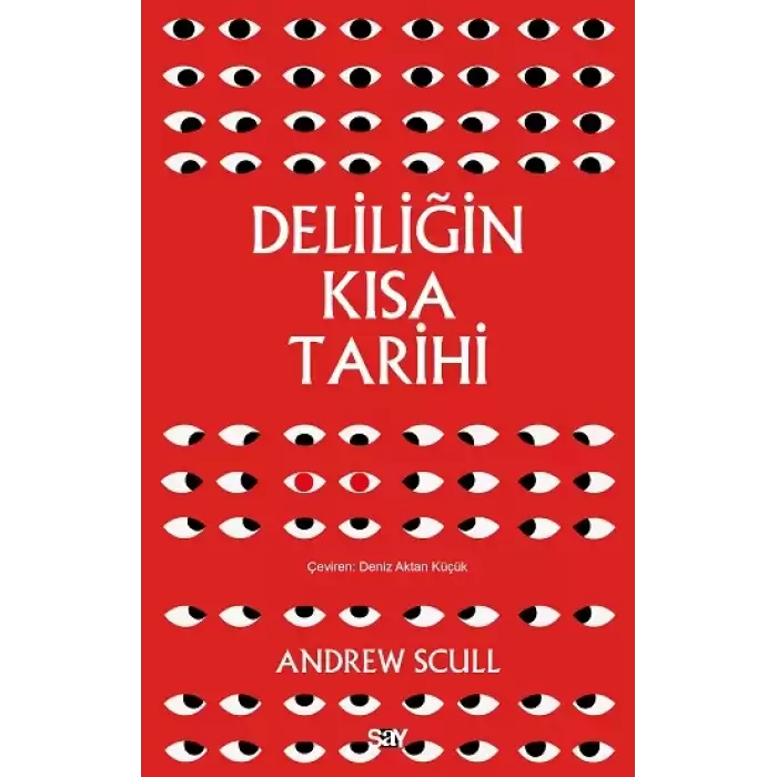 Deliliğin Kısa Tarihi