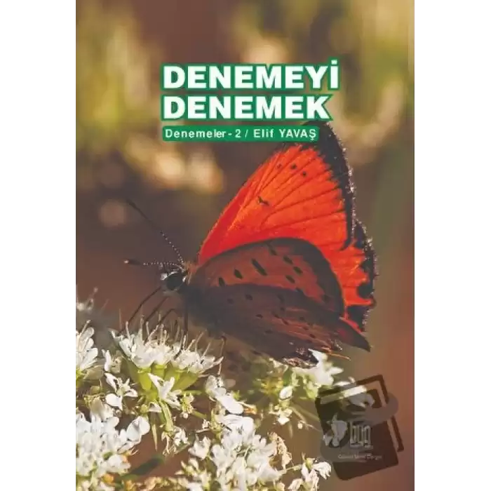 Denemeyi Denemek