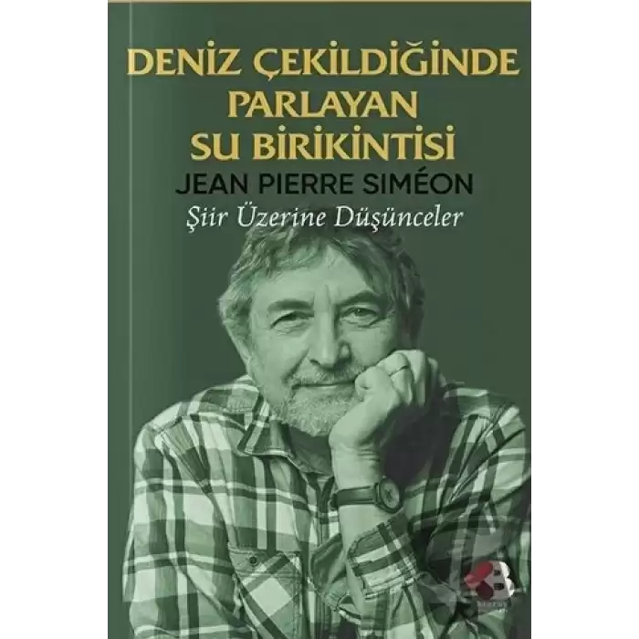 Deniz Çekildiğinde Parlayan Su Birikintisi