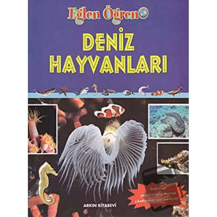 Deniz Hayvanları