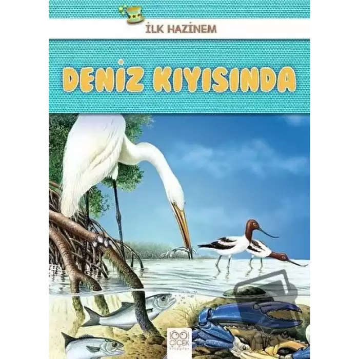 Deniz Kıyısında - İlk Hazinem