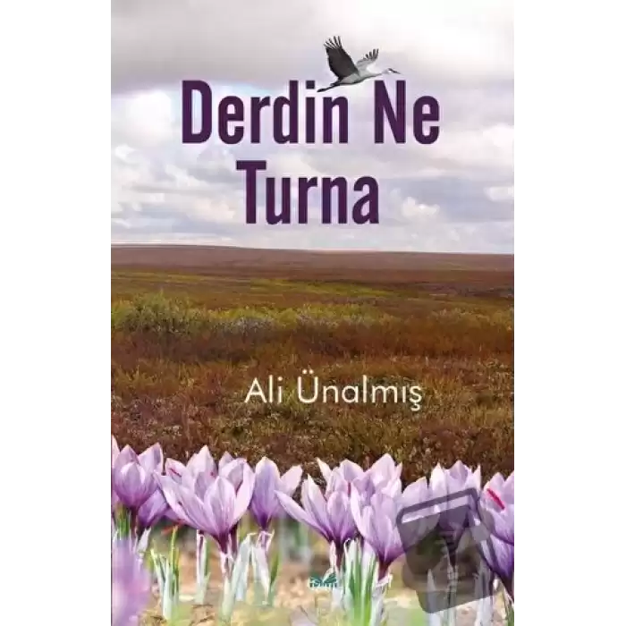 Derdin Ne Turna