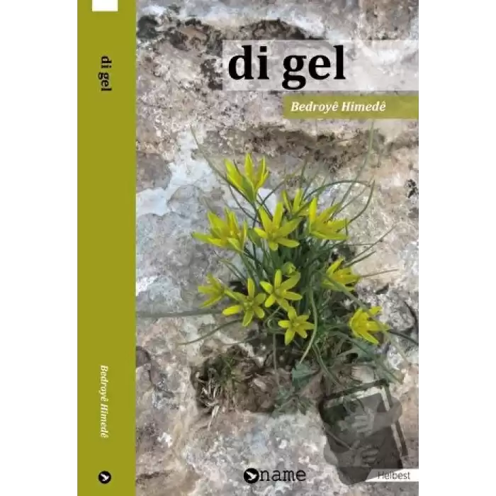 Di Gel