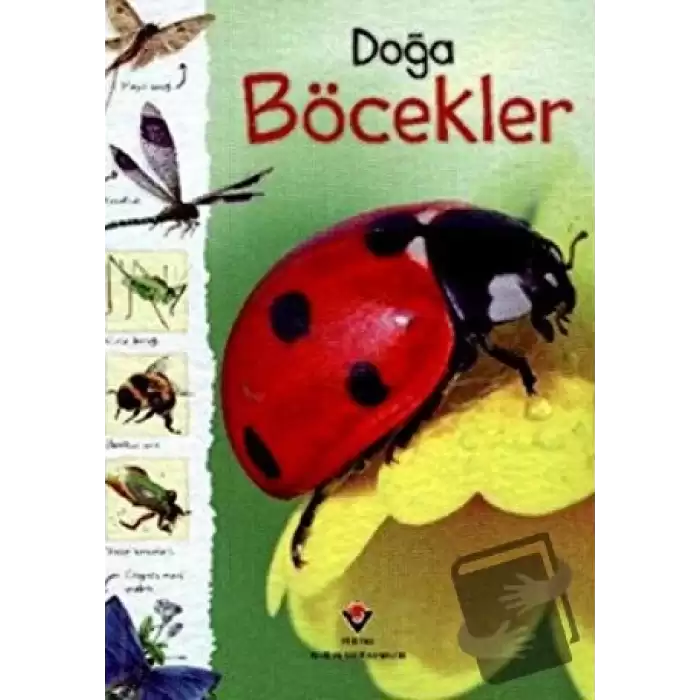 Doğa: Böcekler