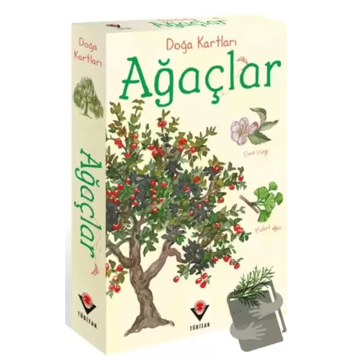 Doğa Kartları - Ağaçlar