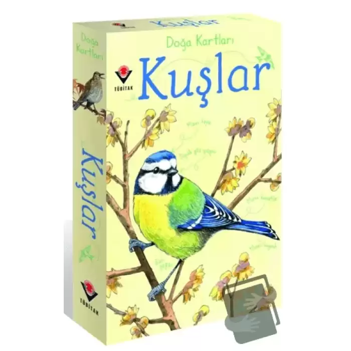 Doğa Kartları - Kuşlar