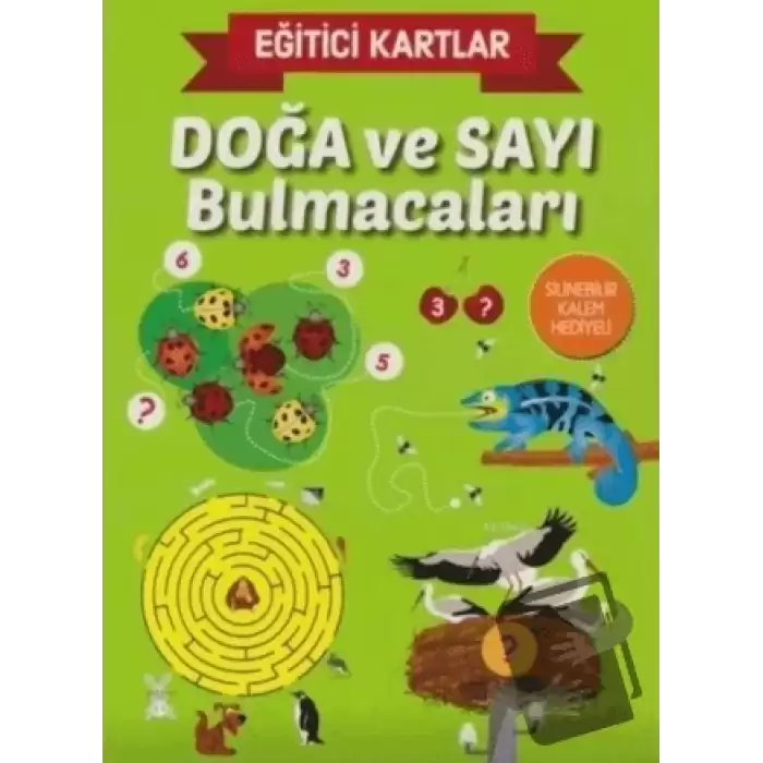 Doğa ve Sayı Bulmacaları - Eğitici Kartlar