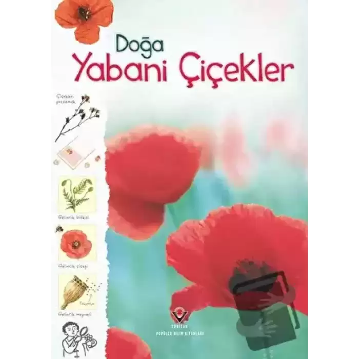 Doğa - Yabani Çiçekler