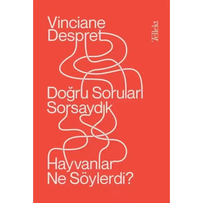 Doğru Soruları Sorsaydık  Hayvanlar Neler Söylerdi?