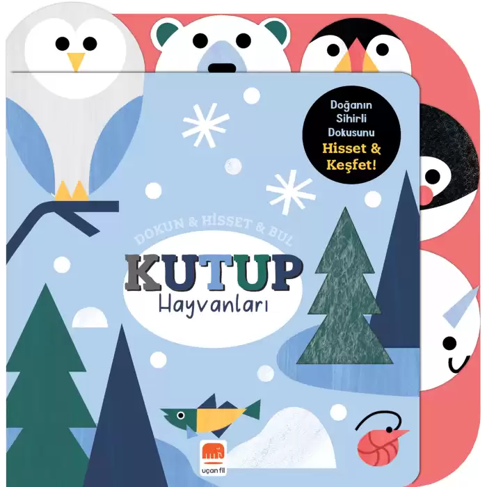 Dokun & Hisset & Bul Kutup Hayvanları  (Boardbook)