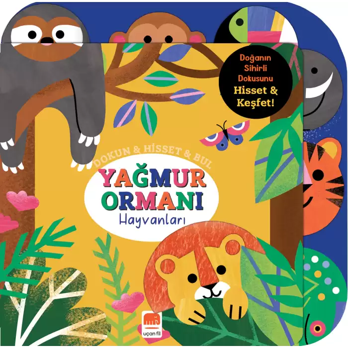 Dokun & Hisset & Bul Yağmur Ormanı Hayvanları  (Boardbook)