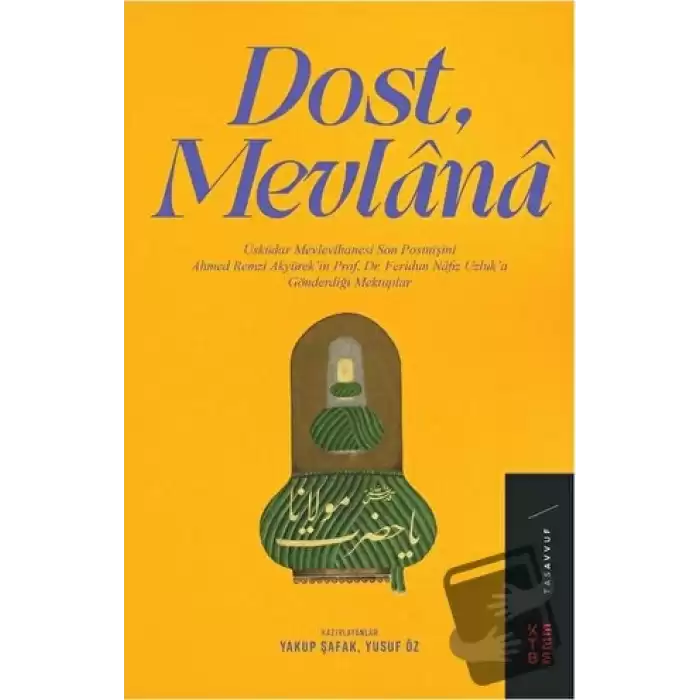 Dost, Mevlana