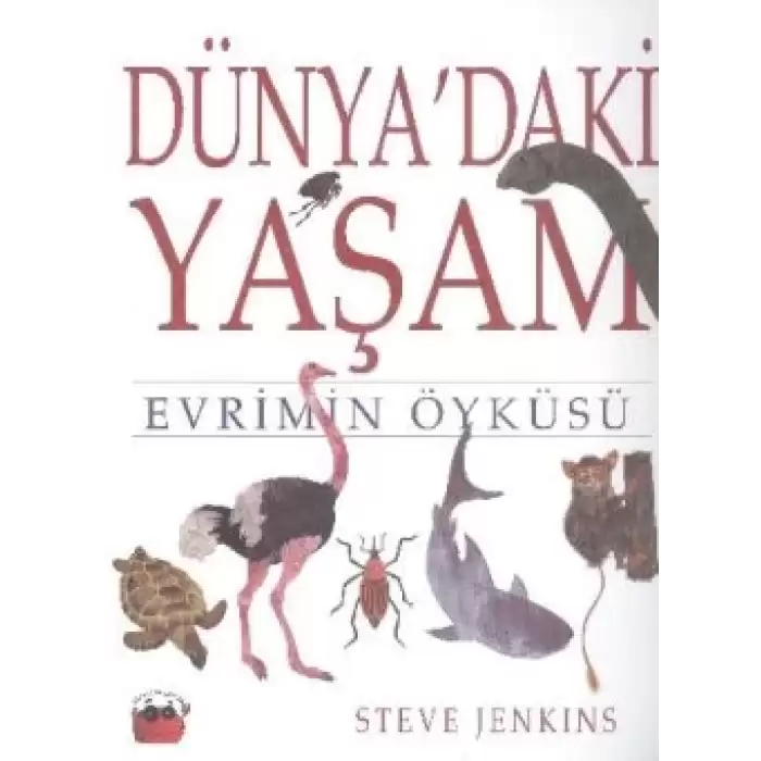 Dünyadaki Yaşam